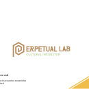 Perpetual Lab - Sustainable Start Up Platform. Design, Traditional illustration, Advertising, Music, Installations, Programming, Photograph, Film, Video, TV, UX / UI, 3D, IT, Accessor, Design, Architecture, Art Direction, Br, ing, Identit, Character Design, Arts, Crafts, Creative Consulting, Design Management, Events, Fine Arts, Cooking, Furniture Design, Making, Graphic Design, Industrial Design, Information Design, Interactive Design, Interior Architecture, Interior Design, L, scape Architecture, Lighting Design, Marketing, Multimedia, Packaging, Painting, Product Design, Set Design, To, Design, Web Design, Web Development, Cop, writing, Film, Video, TV, Sound Design, Street Art, Stop Motion, Social Media, Infographics, Paper Craft, Naming, Audiovisual Production, Pattern Design, Vector Illustration, Signage Design, Icon Design, Pictogram Design, 2D Animation, Creativit, Pencil Drawing, Drawing, Poster Design, Logo Design, Product Photograph, and 3D Modeling project by Roberto LAYOUSS - 08.03.2021
