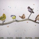 Meu projeto do curso: Técnicas expressivas de aquarela para ilustração de pássaros. Un progetto di Illustrazione tradizionale, Pittura ad acquerello, Disegno realistico e Illustrazione naturalistica di Lindsay Korth - 23.05.2021