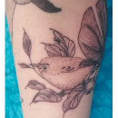 Mi Proyecto del curso: Tatuaje botánico con puntillismo. Traditional illustration, Tattoo Design, and Botanical Illustration project by Susy Zúñiga - 08.31.2021