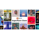 Excellent SuperRare clone script to Breed your Business Globally. Design, Traditional illustration, Advertising, Programming, UX / UI & IT project by James Anderson - 02.01.2019
