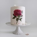 Botanical painted cakes. Design, Traditional illustration, Arts, Crafts, Cooking, Painting, Creativit, Brush Painting, and Botanical Illustration project by Cynthia Irani - 09.18.2021