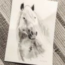 My project in Expressive Animal Portraits in Watercolor course. Traditional illustration, Watercolor Painting, Realistic Drawing, and Naturalistic Illustration project by caramba4u - 09.20.2021