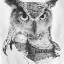 owl surrealism Ein Projekt aus dem Bereich Bleistiftzeichnung und Realistische Zeichnung von heloísa damo - 27.09.2021