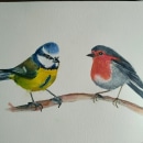 My project in Artistic Watercolor Techniques for Illustrating Birds course. Ilustração tradicional, Pintura em aquarela, Desenho realista e Ilustração naturalista projeto de ankabungert - 27.09.2021