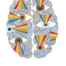 Cerebro Humano / Claves para entenderlo. Design, Traditional illustration, and Advertising project by Daniel Roldan - 09.27.2021