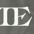 Stevie logotype. Un projet de Design graphique, T, pographie, Design t , et pographique de Morgane Vantorre - 03.10.2021