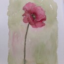 Meu projeto do curso: Aquarela botânica para estampados. Ilustração tradicional, Pattern Design, Pintura em aquarela e Ilustração botânica projeto de Carolina - 03.10.2021