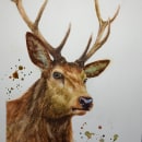 My project in Expressive Animal Portraits in Watercolor course. Traditional illustration, Watercolor Painting, Realistic Drawing, and Naturalistic Illustration project by Lori Tews - 10.12.2021