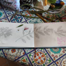 Mi Proyecto del curso: Cuaderno botánico en acuarela. Un proyecto de Pintura a la acuarela, Ilustración botánica y Sketchbook de Mar Abujas - 14.10.2021