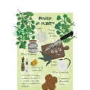 Mousse de clinatro. Design, Traditional illustration, Infographics, Vector Illustration, Drawing, Digital Illustration, Artistic Drawing, Digital Painting, Sketchbook, Ink Illustration, and Naturalistic Illustration project by Carmenchu Orbe Rubio - 10.13.2021