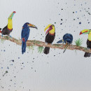 My project in Artistic Watercolor Techniques for Illustrating Birds course. Un proyecto de Ilustración tradicional, Pintura a la acuarela, Dibujo realista e Ilustración naturalista				 de Kate - 14.10.2021