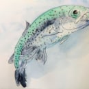 Ganz frischer Fisch!. Un progetto di Illustrazione tradizionale, Bozzetti, Creatività, Disegno, Pittura ad acquerello e Sketchbook di Elke Sauter - 26.10.2021