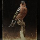 My project in Classical Oil Painting for Naturalist Bird Portraiture course. Un projet de Beaux Arts, Peinture, Peinture à l'huile et Illustration naturaliste de Sarah Margaret Gibson - 26.10.2021