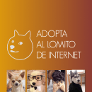 Mi Proyecto del curso: Lomitos de Internet. Un proyecto de Publicidad, Consultoría creativa, Marketing y Creatividad de Adrián Quiros - 26.10.2021