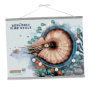 The geologic time scale in a Mollusc shell. Un proyecto de Ilustración tradicional e Infografía de Sandra Hähle - 21.05.2020