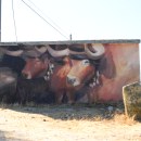 Pintura mural y memorias colectivas. Un proyecto de Pintura y Arte urbano de Alba Boscà - 14.11.2021
