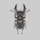 Beetle. Traditional illustration, and Realistic Drawing project by Marta Muñoz - 07.15.2021