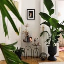 Igor's urban jungle apartment in Berlin. Un proyecto de Diseño de interiores, Escenografía, Decoración de interiores, Interiorismo, Diseño floral y vegetal de Igor & Judith - Urban Jungle Bloggers - 10.05.2021