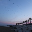 Playa alada con atardecer. Un progetto di Fotografia e Paesaggismo di Ana Palma Molina - 25.12.2018