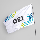 Rebranding para la OEI (Organización de Estados Iberoamericanos). Br, ing e Identidade, Criatividade, Design de logotipo, e Narrativa projeto de Work! Trabajo & Diseño - 15.12.2021