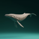 VR Whale Sculpting. 3D, and 3D Modeling project by Jorda Moldes - 05.12.2021