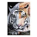 Tigre . Realistic Drawing project by Mariem Hassani - 12.17.2021
