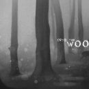Into the Woods. Traditional illustration, Digital Illustration, Portfolio Development, and Concept Art project by Tory Polska - 12.29.2021