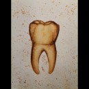 Tooth. Ilustração tradicional projeto de alicja.reszka19 - 26.12.2021
