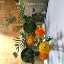 A Hundred Visions. Decoração de interiores, Fotografia para Instagram, Fotografia de interiores, e Design floral e vegetal projeto de Alicja Kempisty - 10.01.2022