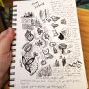 My project in Daily Sketching for Creative Inspiration course. Un projet de Illustration traditionnelle, Esquisse , Créativité, Dessin , et Carnet de croquis de Lindsey Castellon - 29.01.2022