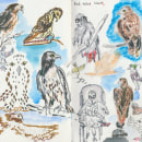 Double-page studies for Illustration Techniques to Unlock your Creativity course. Design, Traditional illustration, Fine Arts, Painting, Creativit, Creating with Kids, and Sketchbook project by Teri Tynes - 01.13.2022