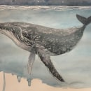Whales. Traditional illustration project by Nancy Mann - 01.17.2022