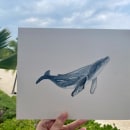 My project in Naturalist Illustration Techniques: Whales in Watercolor course. Un proyecto de Ilustración tradicional, Diseño de carteles, Ilustración digital y Manga de Olivia Healy - 17.01.2022