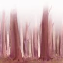 Forest scenery. Traditional illustration, Social Media, Drawing, Digital Illustration, Realistic Drawing, and Digital Drawing project by margueritedo - 01.17.2022
