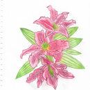 Flores. Traditional illustration project by Adriana Botero Velez - 01.26.2022