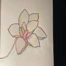 Flor colorida. Sketchbook project by Luana Cristina dos Santos Honorato - 02.17.2022