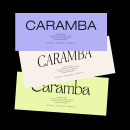 Branding for Caramba Agency. Design, Art Direction, Editorial Design, Graphic Design, T, pograph, Web Design, Creativit, Logo Design, T, pograph, and Design project by Caroline Carrillo - 02.21.2022