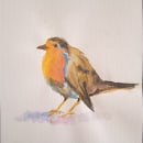 Acuarela de un pájaro . Watercolor Painting project by Stephani Daiana Garcia Reyes - 07.09.2021