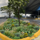 Infraestructura verde terminal metrovía Guayaquil . Design, Traditional illustration, Photograph, Architecture, L, scape Architecture, Photomontage, and Naturalistic Illustration project by Leonardo Rodriguez - 02.24.2022