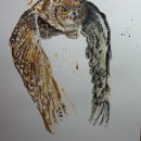 Spotted Eagle Owl in flight.. Un proyecto de Pintura de Charl van Staden - 24.02.2022