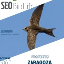 Dossier para SEO/Birdlife - Proyecto Aves de Barrio. Design project by Alba Lou - 03.08.2022