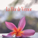 La Flor de Vemor. Writing, Stor, telling, Narrative, Fiction Writing, and Creative Writing project by Veronica Montesdeoca - 03.10.2022