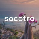 Socotra Beauty Ein Projekt aus dem Bereich Design, Br, ing und Identität, Grafikdesign, Naming, Icon-Design, Logodesign, Stor und telling von Alfredo Júpiter Martín Castellanos - 13.03.2022