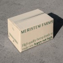 Meristem Farms. Design, Br, ing, Identit, Br, and Strateg project by Adam Katz - 03.15.2022