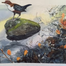My project for course: Atmospheric Landscapes in Watercolor: The Dipper. Un proyecto de Bellas Artes, Pintura y Pintura a la acuarela de Terri Bate - 18.03.2022
