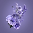 Burst Lavender. 3D, and VFX project by John Bashyam - 03.26.2022