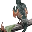 Acheroraptor. Traditional illustration, Digital Illustration, and Naturalistic Illustration project by Carlos - 03.28.2022