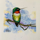 Birds:  A ruby throated hummingbird.. Ilustração tradicional, Esboçado, e Pintura em aquarela projeto de vacker8 - 31.03.2022