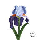 Flower. Un proyecto de Ilustración tradicional de Ekaterina Sysoeva - 04.04.2022