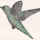 Hummingbird done with stippling. Ein Projekt aus dem Bereich Traditionelle Illustration von Oscar 59 - 04.04.2022